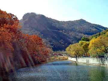 抖音本地生活代运营合同（抖音本地生活代运营合同模板）