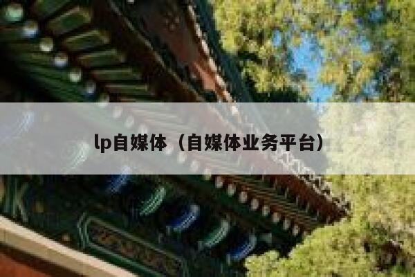 lp自媒体（自媒体业务平台） 第1张