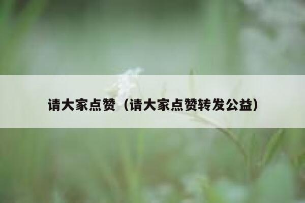 请大家点赞（请大家点赞转发公益）