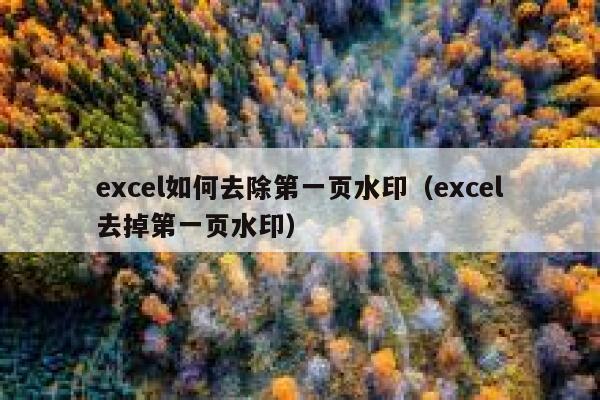 excel如何去除第一页水印（excel去掉第一页水印）