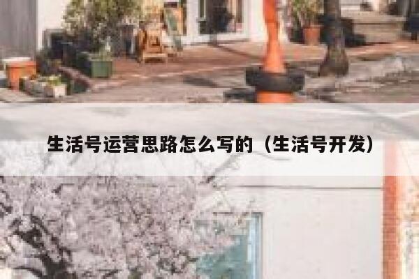 生活号运营思路怎么写的（生活号开发）