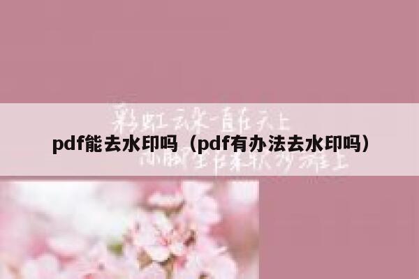 pdf能去水印吗（pdf有办法去水印吗）