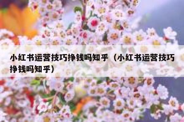 小红书运营技巧挣钱吗知乎（小红书运营技巧挣钱吗知乎）