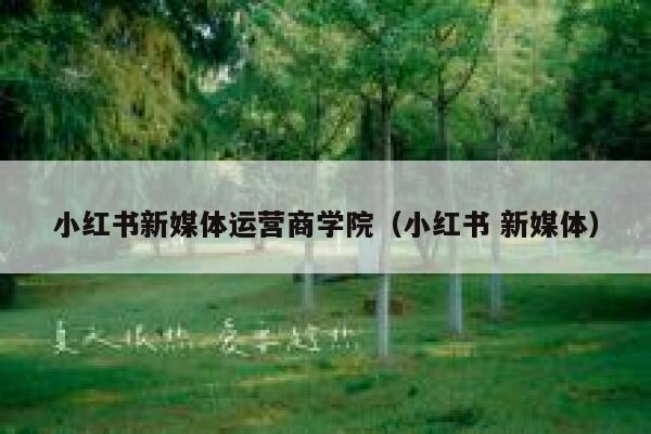 小红书新媒体运营商学院（小红书 新媒体）