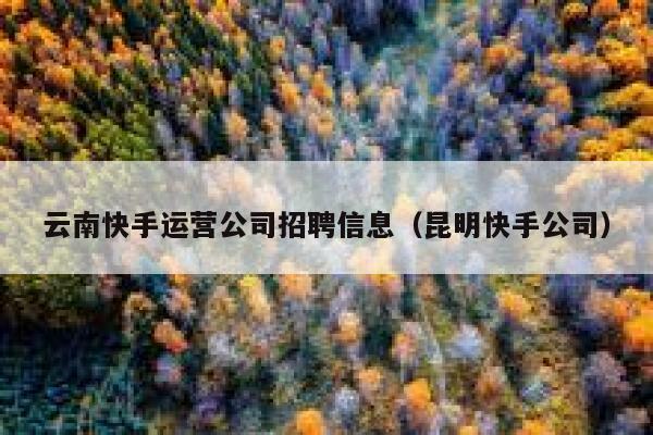 云南快手运营公司招聘信息（昆明快手公司）