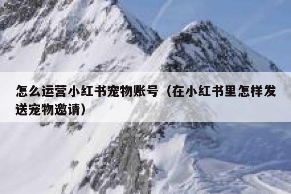 怎么运营小红书宠物账号（在小红书里怎样发送宠物邀请）