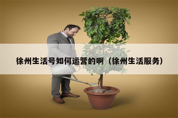 徐州生活号如何运营的啊（徐州生活服务）