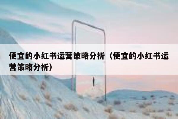 便宜的小红书运营策略分析（便宜的小红书运营策略分析）