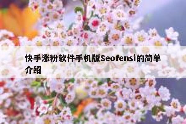 快手涨粉软件手机版Seofensi的简单介绍