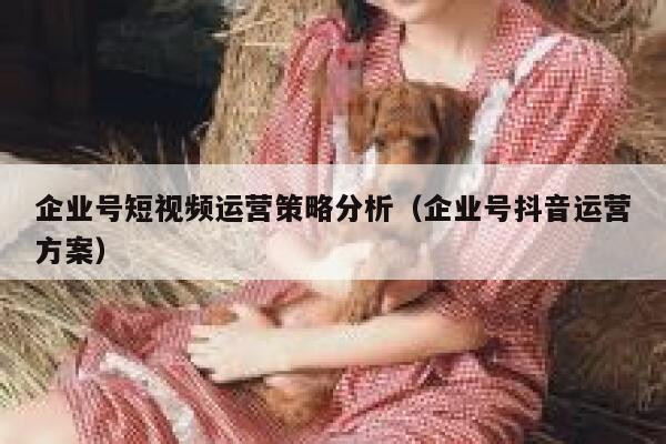 企业号短视频运营策略分析（企业号抖音运营方案）