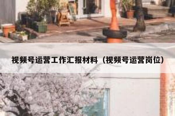 视频号运营工作汇报材料（视频号运营岗位）