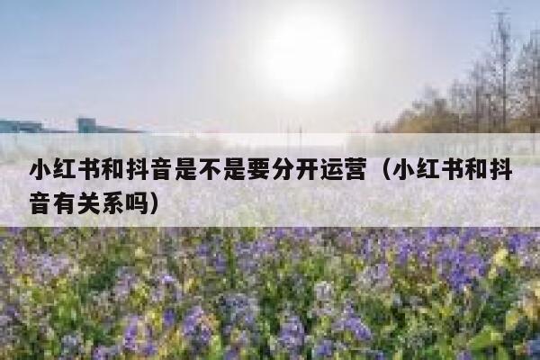 小红书和抖音是不是要分开运营（小红书和抖音有关系吗）