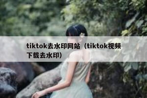 tiktok去水印网站（tiktok视频下载去水印）