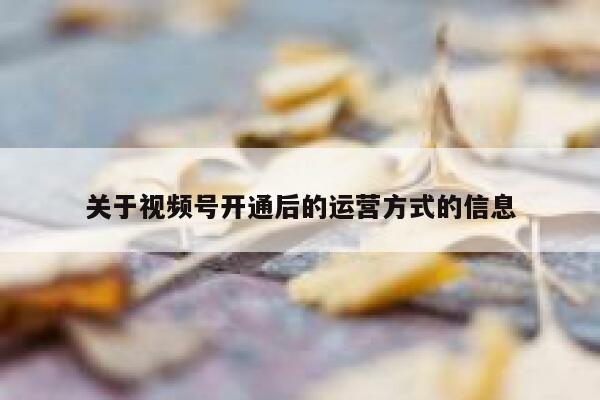 关于视频号开通后的运营方式的信息