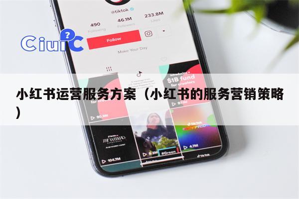 小红书运营服务方案（小红书的服务营销策略）