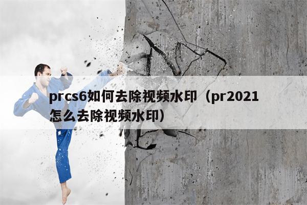 prcs6如何去除视频水印（pr2021怎么去除视频水印）