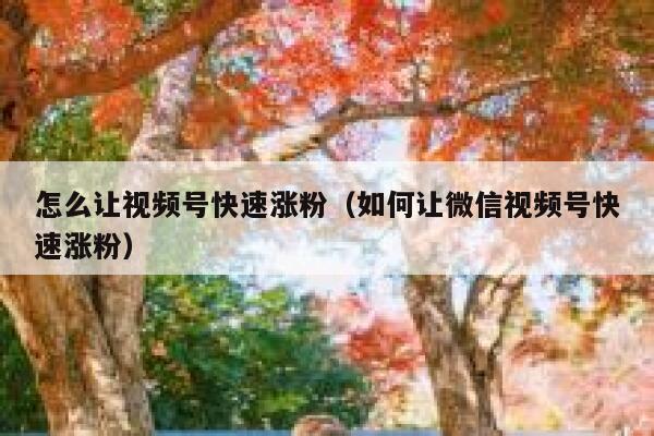 怎么让视频号快速涨粉（如何让微信视频号快速涨粉）