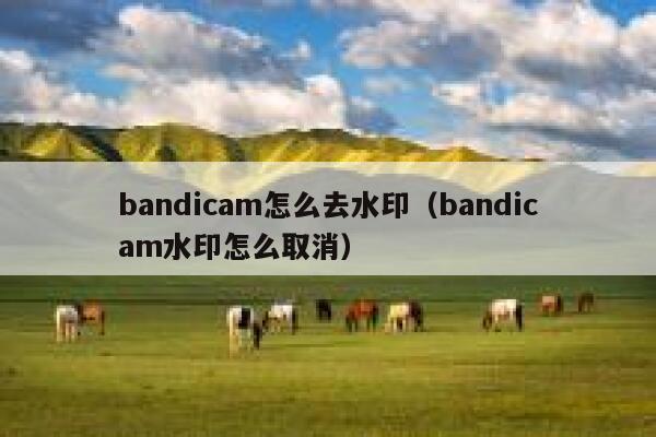 bandicam怎么去水印（bandicam水印怎么取消）