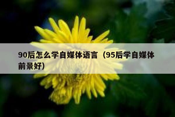 90后怎么学自媒体语言（95后学自媒体 前景好）