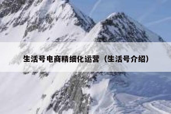 生活号电商精细化运营（生活号介绍）