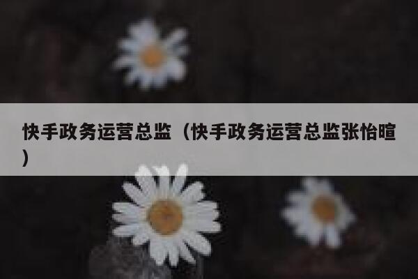 快手政务运营总监（快手政务运营总监张怡暄）