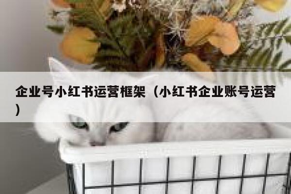 企业号小红书运营框架（小红书企业账号运营）