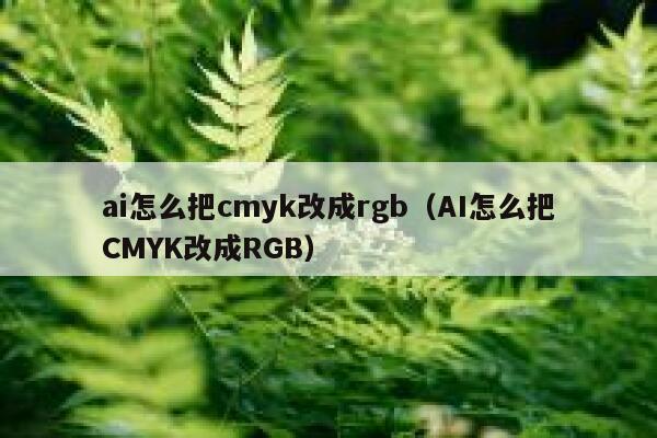 ai怎么把cmyk改成rgb（AI怎么把CMYK改成RGB）