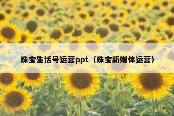 珠宝生活号运营ppt（珠宝新媒体运营）