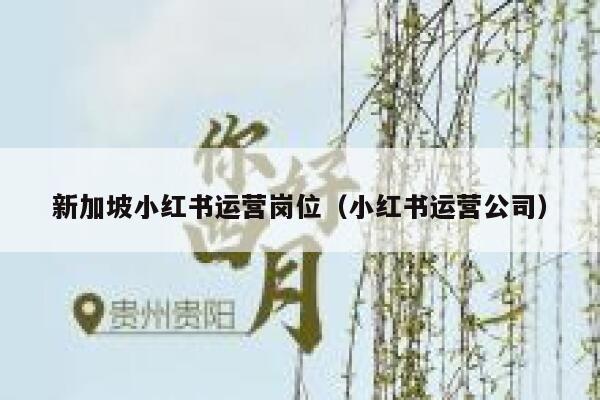 新加坡小红书运营岗位（小红书运营公司）