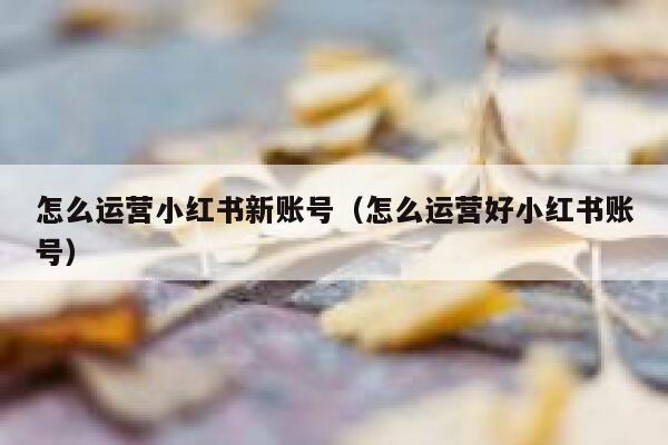 怎么运营小红书新账号（怎么运营好小红书账号）