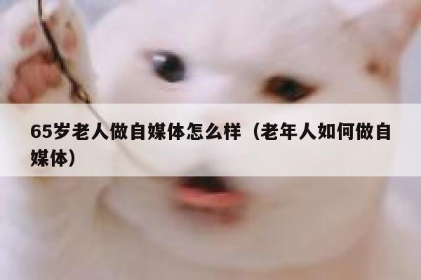 65岁老人做自媒体怎么样（老年人如何做自媒体）