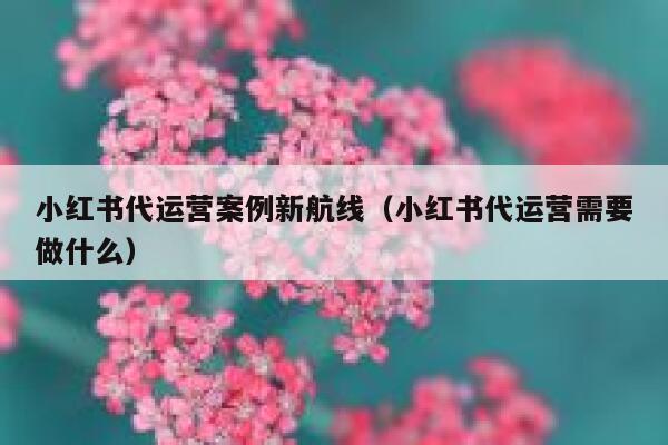 小红书代运营案例新航线（小红书代运营需要做什么）