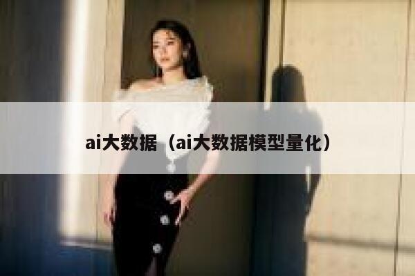 ai大数据（ai大数据模型量化）