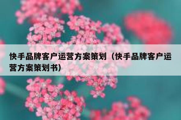 快手品牌客户运营方案策划（快手品牌客户运营方案策划书）