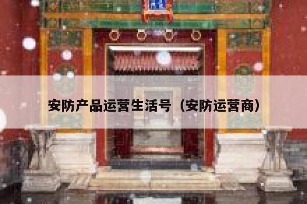 安防产品运营生活号（安防运营商）