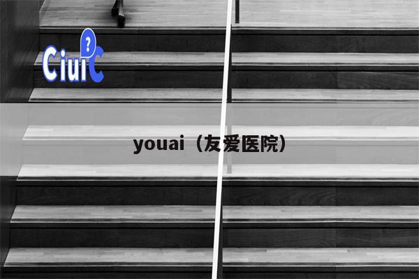 youai（友爱医院）