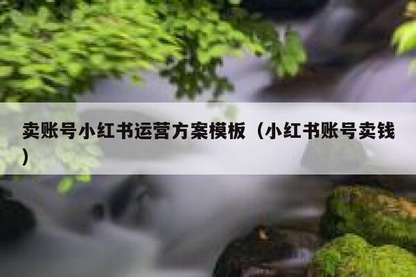 卖账号小红书运营方案模板（小红书账号卖钱）