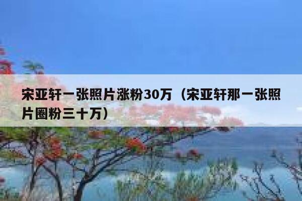 宋亚轩一张照片涨粉30万（宋亚轩那一张照片圈粉三十万）