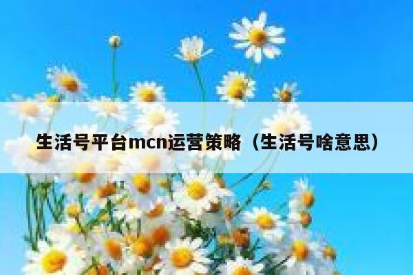 生活号平台mcn运营策略（生活号啥意思）