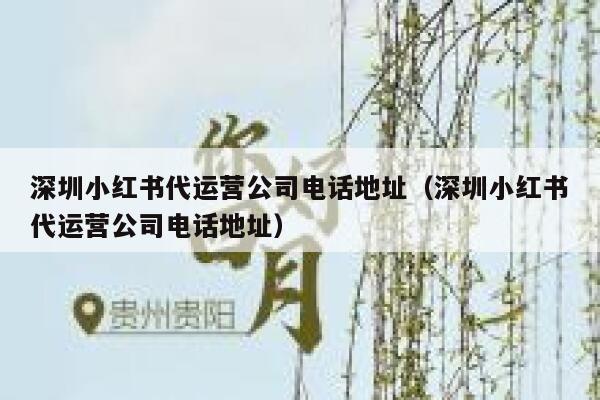 深圳小红书代运营公司电话地址（深圳小红书代运营公司电话地址）