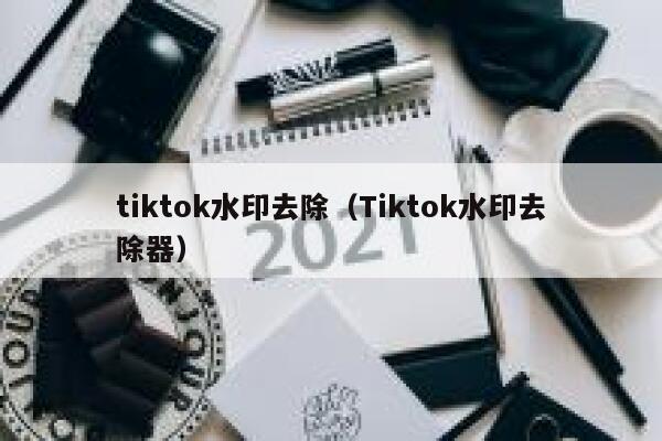 tiktok水印去除（Tiktok水印去除器）