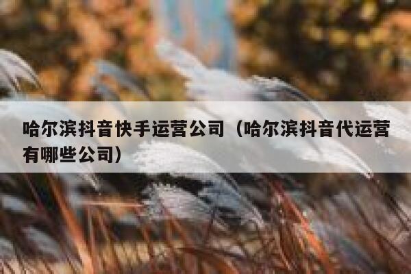 哈尔滨抖音快手运营公司（哈尔滨抖音代运营有哪些公司）