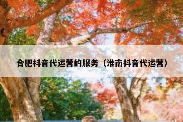 合肥抖音代运营的服务（淮南抖音代运营）