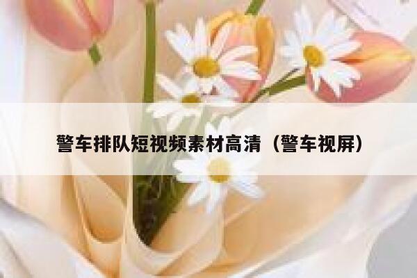 警车排队短视频素材高清（警车视屏）