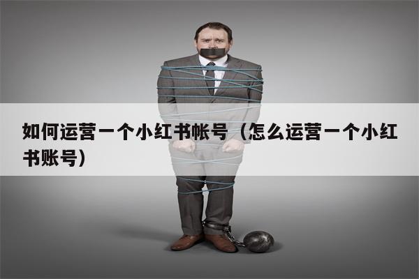 如何运营一个小红书帐号（怎么运营一个小红书账号）