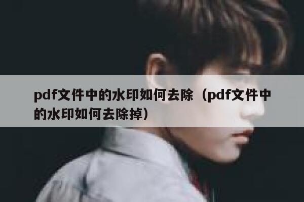 pdf文件中的水印如何去除（pdf文件中的水印如何去除掉）