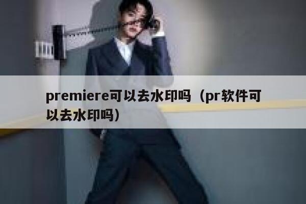 premiere可以去水印吗（pr软件可以去水印吗）