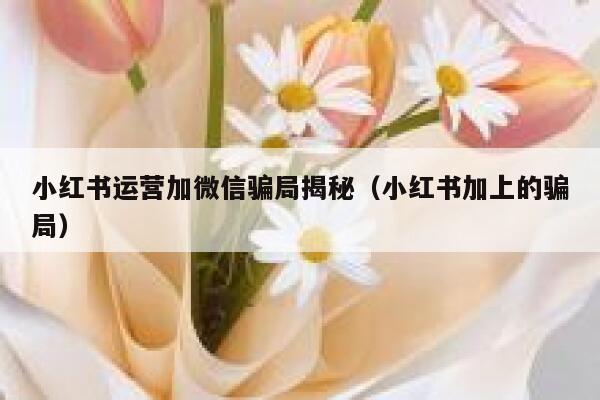 小红书运营加微信骗局揭秘（小红书加上的骗局）