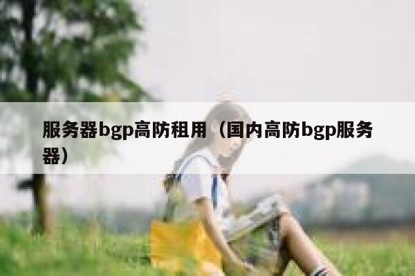 服务器bgp高防租用（国内高防bgp服务器）