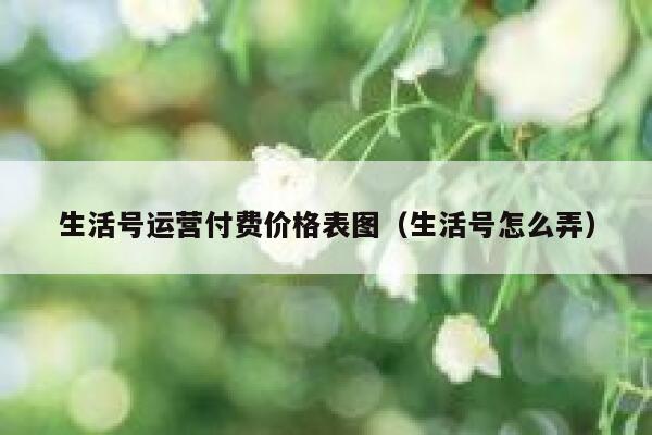 生活号运营付费价格表图（生活号怎么弄）